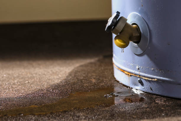 Best Carpet water damage restoration  in West Leechburg, PA