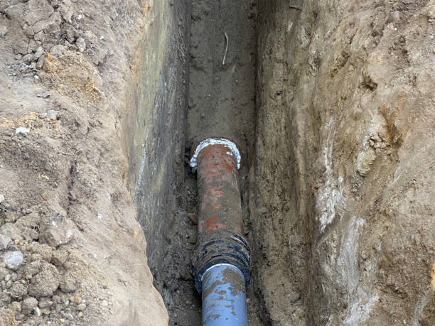 Best Flooded house restoration  in West Leechburg, PA
