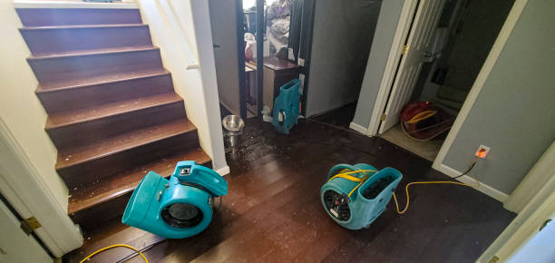 Best Mold removal after water damage  in West Leechburg, PA