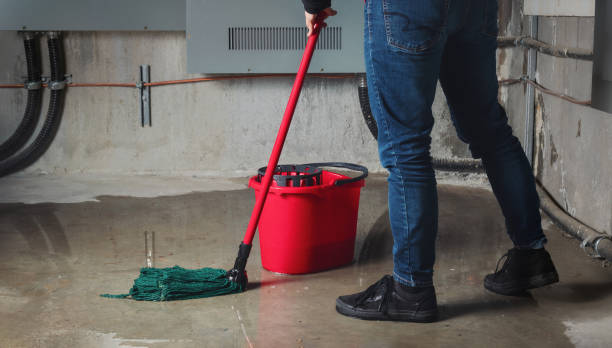 Best Basement water damage restoration  in West Leechburg, PA