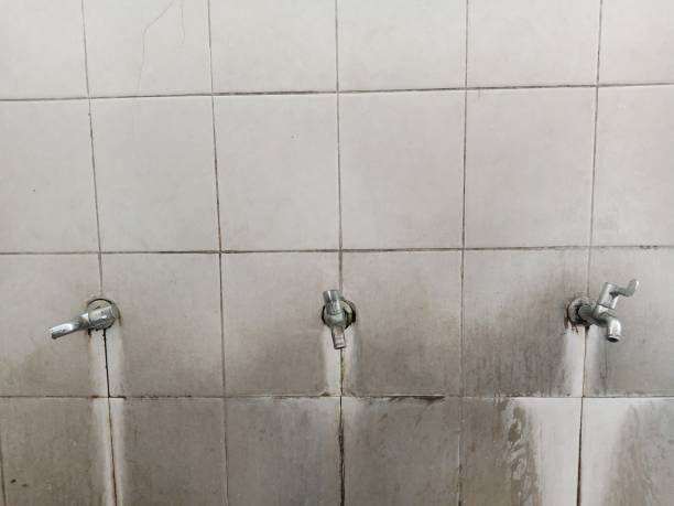 Best Sewage cleanup and water damage restoration  in West Leechburg, PA