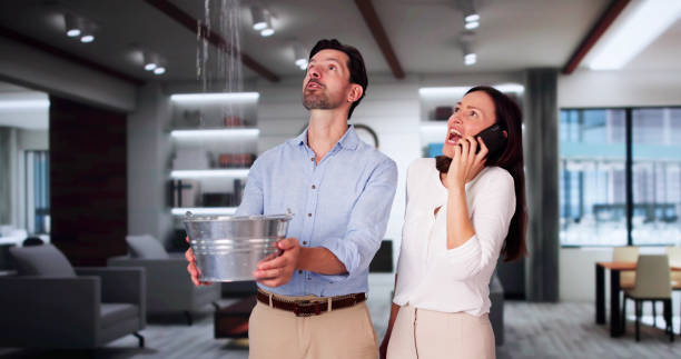 Best Water damage cleanup near me  in West Leechburg, PA